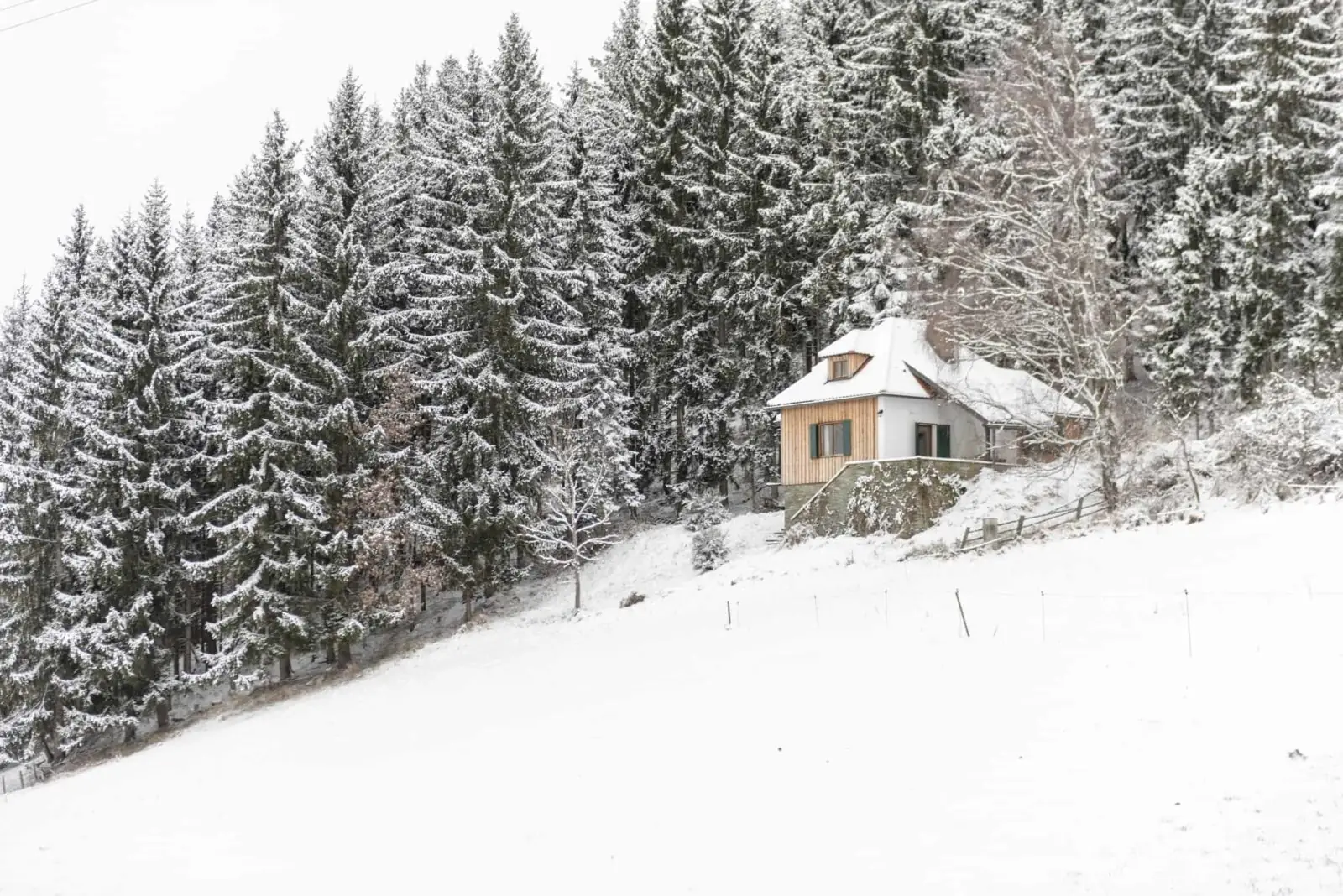 The Almhaus at the edge of the snowy forest