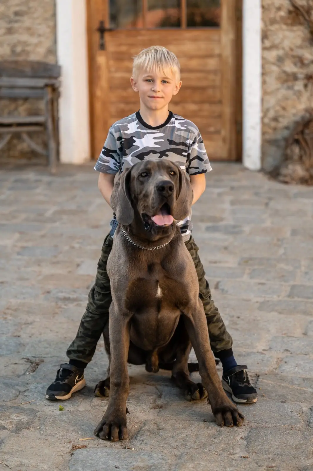 A boy with the Great Dane in front of the barn door